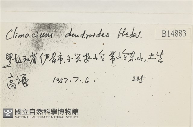 登錄號:B00014883藏品圖，第2張
