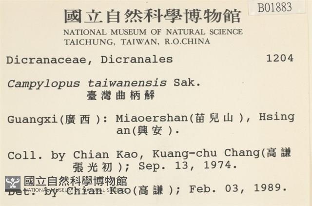 臺灣曲柄蘚藏品圖，第2張