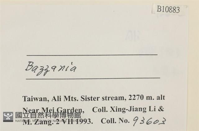 登錄號:B00010883藏品圖，第2張