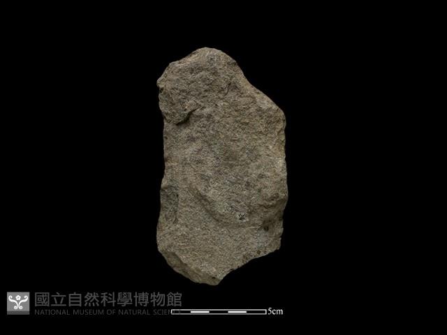 斧鋤形器藏品圖，第2張