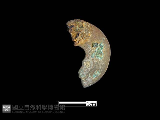 銅錢藏品圖，第1張