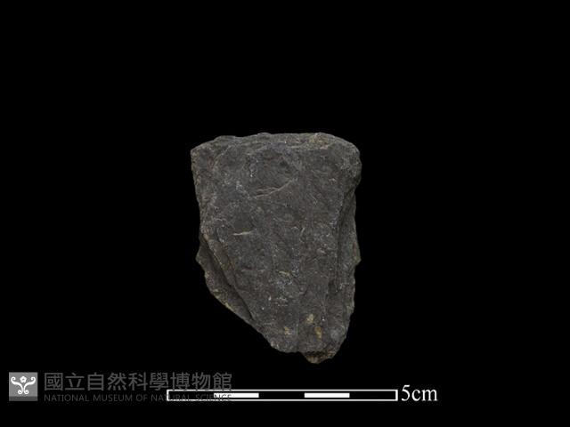 斧鋤形器藏品圖，第2張