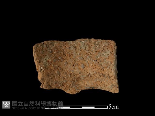 陶片藏品圖，第2張