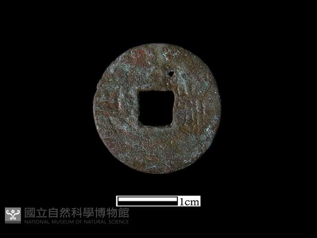 Accession Number:BK1352 Collection Image, Figure 1, Total 2 Figures