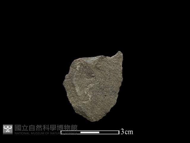 磨製石器藏品圖，第2張