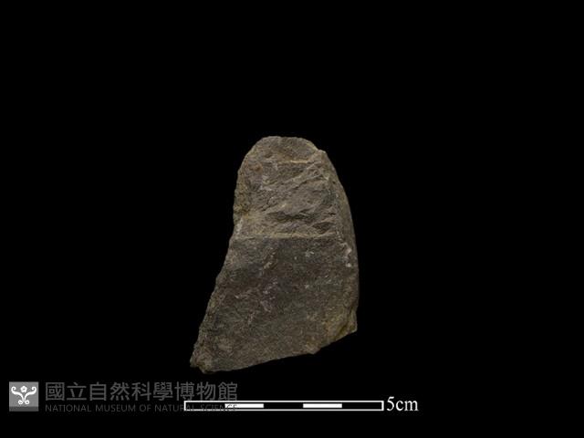 Accession Number:HWL-2014-128 Collection Image, Figure 1, Total 2 Figures