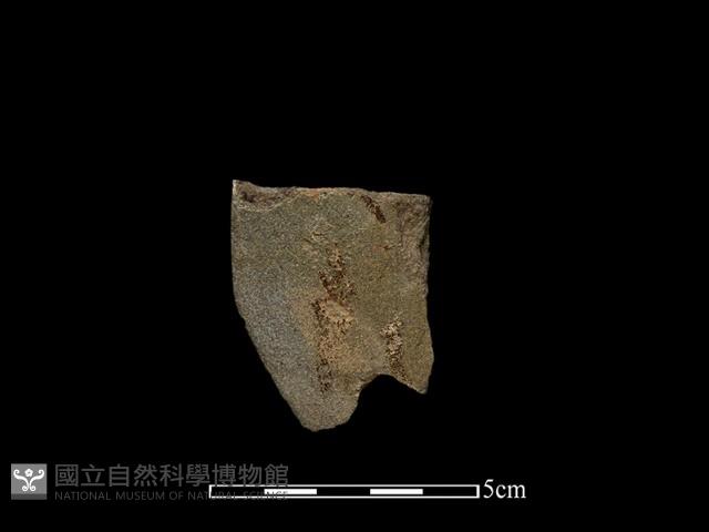 磨製石器藏品圖，第1張