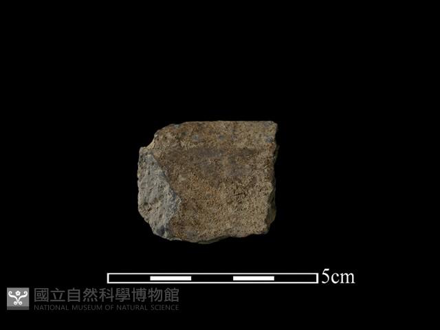 陶片藏品圖，第1張