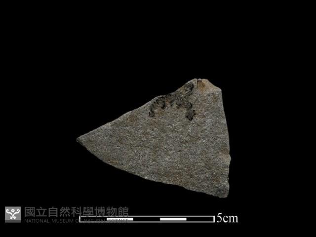 磨製斧鋤形器藏品圖，第2張