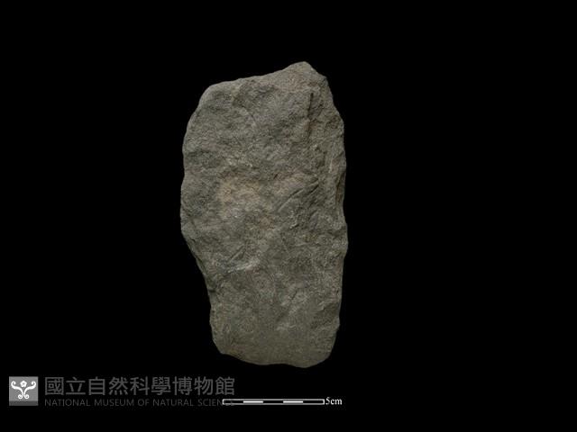 磨製斧鋤形器藏品圖，第1張