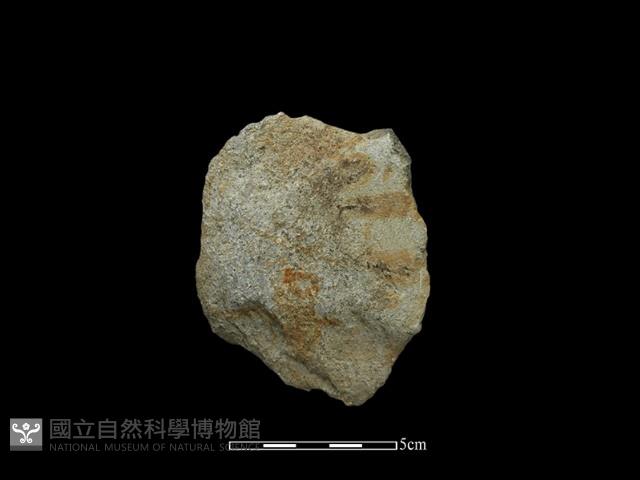 斧鋤形器藏品圖，第2張