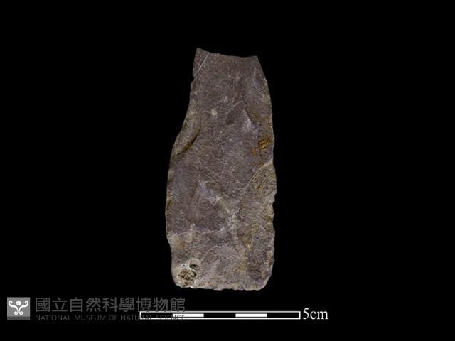 斧鋤形器藏品圖，第2張