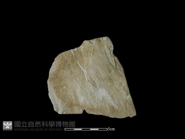 石片器藏品圖，第2張