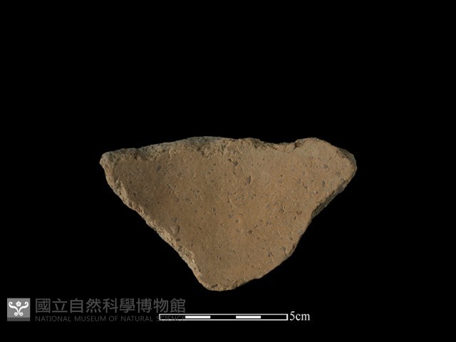 陶片藏品圖，第2張