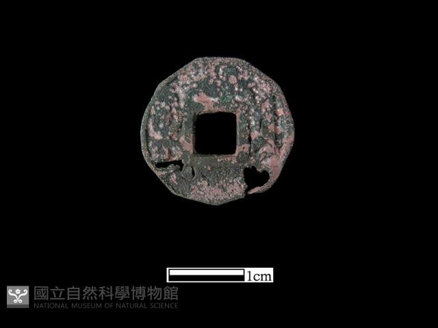 Accession Number:BK0959 Collection Image, Figure 1, Total 2 Figures