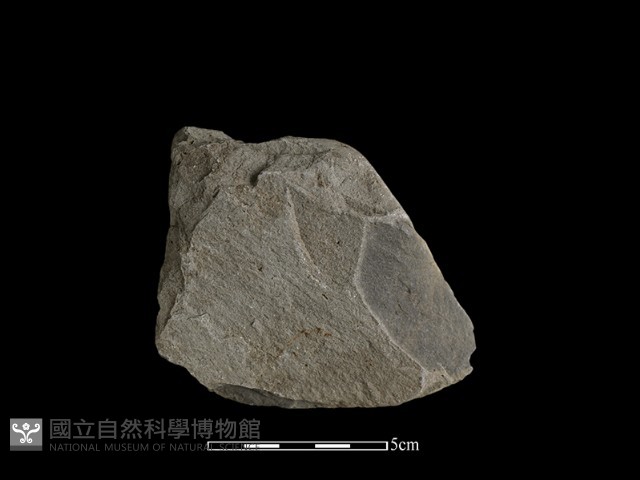 石片器藏品圖，第2張