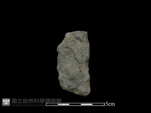 掘棒頭藏品圖，第1張