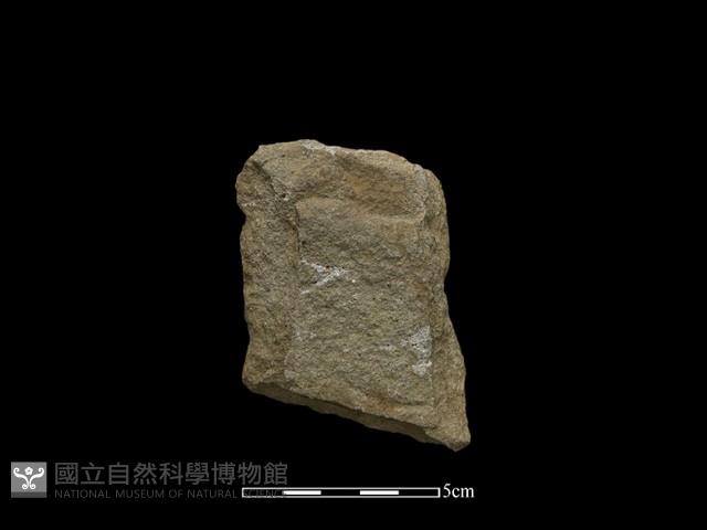 帶加工痕石材藏品圖，第1張