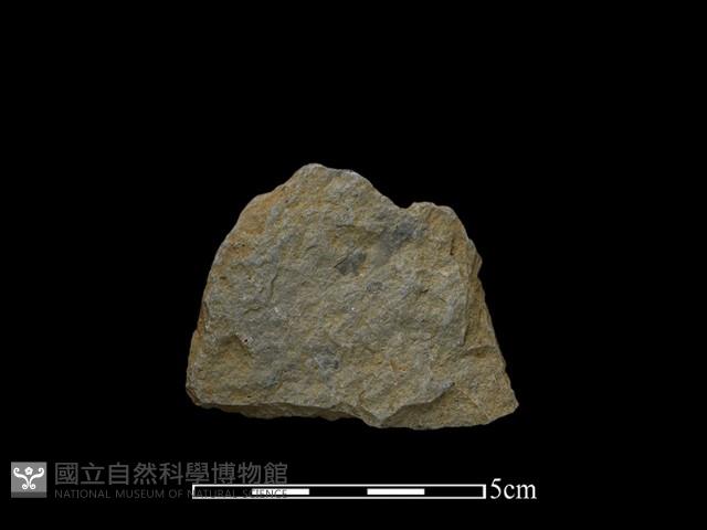 斧鋤形器藏品圖，第2張