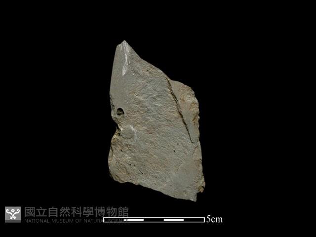 磨製石器藏品圖，第2張