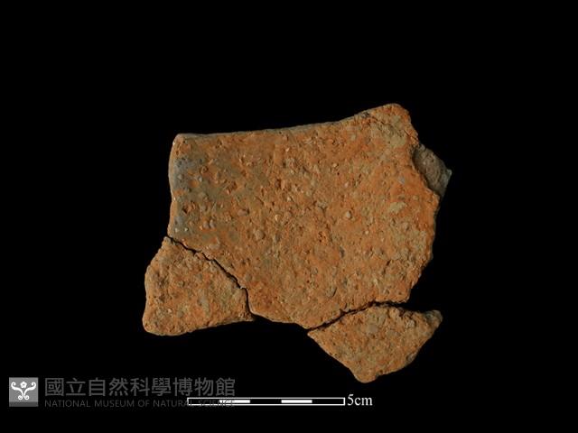 陶片藏品圖，第1張