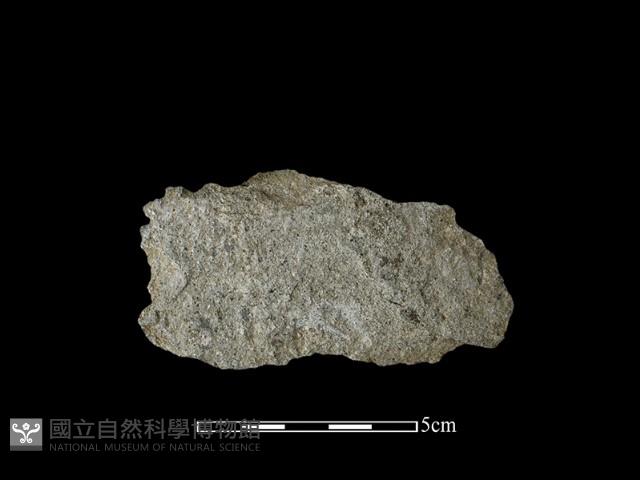 石片藏品圖，第1張