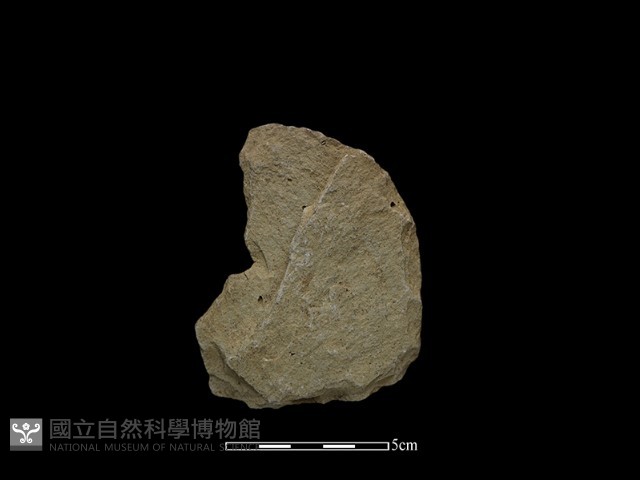 斧鋤形器藏品圖，第2張