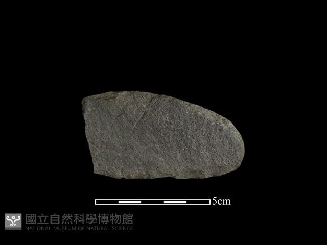 打製石刀藏品圖，第2張