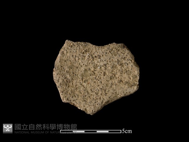 陶片藏品圖，第2張