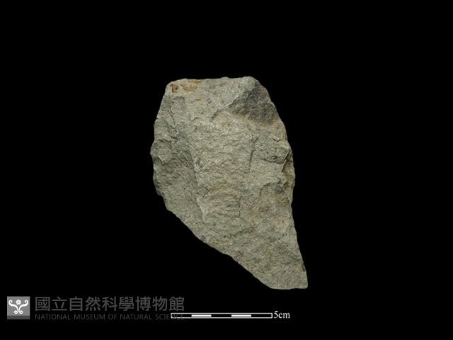 斧鋤形器藏品圖，第2張