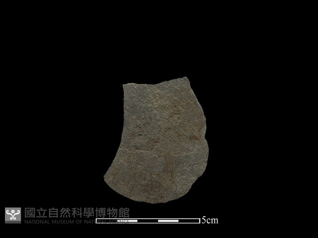 石片藏品圖，第2張