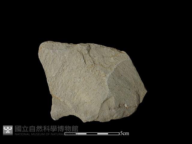 石片藏品圖，第2張