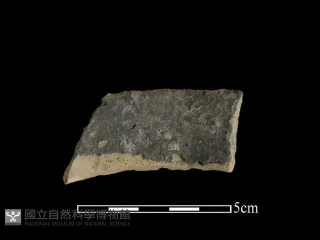 陶片藏品圖，第1張