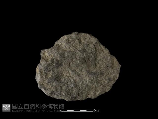 砍砸器藏品圖，第2張