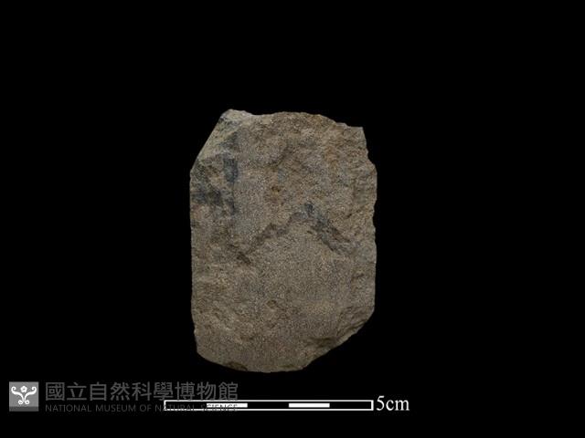 磨製斧鋤形器藏品圖，第1張