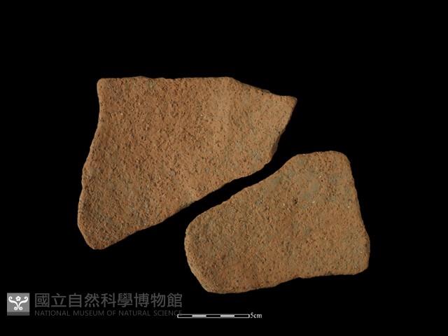 陶片藏品圖，第2張