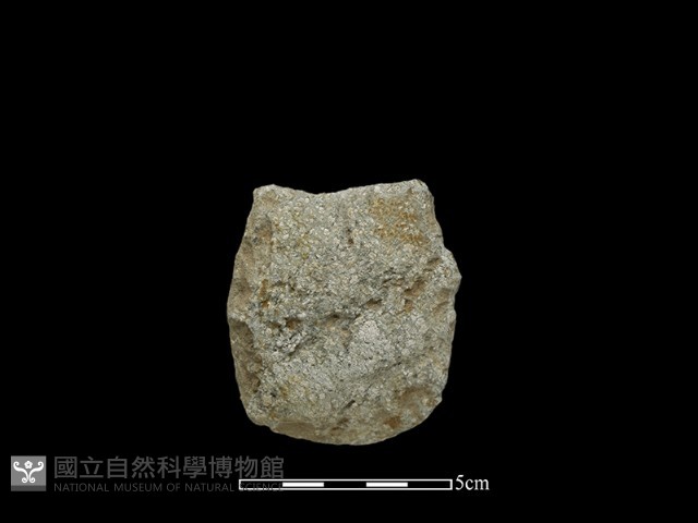 磨製斧鋤形器藏品圖，第1張