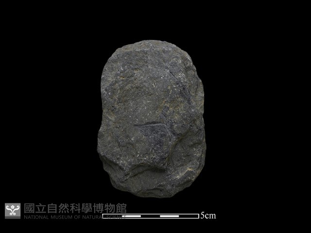 斧鋤形器藏品圖，第2張