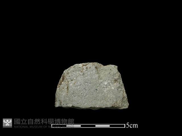 磨製斧鋤形器藏品圖，第2張