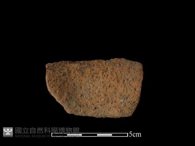 陶片藏品圖，第2張