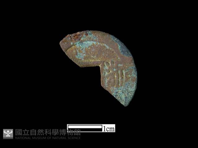 銅錢藏品圖，第1張