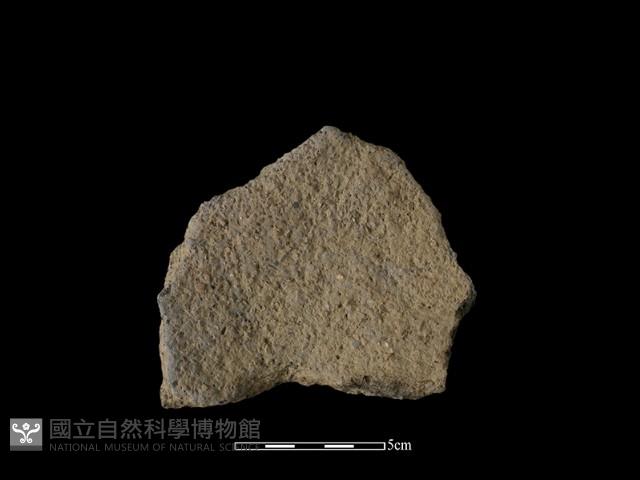 陶片藏品圖，第2張