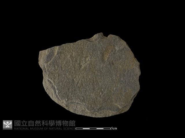 石片器藏品圖，第1張