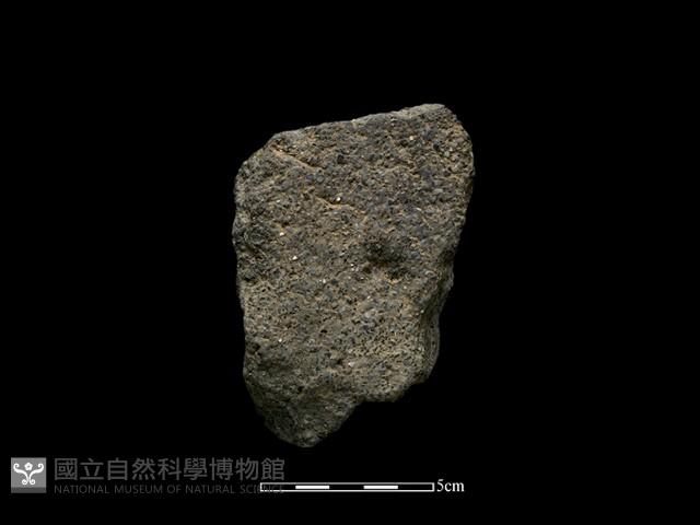 陶片藏品圖，第2張