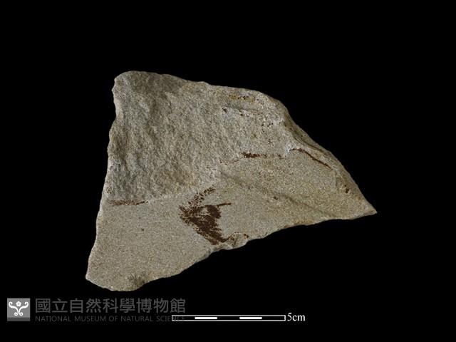 砥石藏品圖，第1張