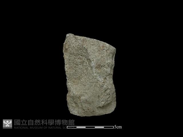 磨製斧鋤形器藏品圖，第1張