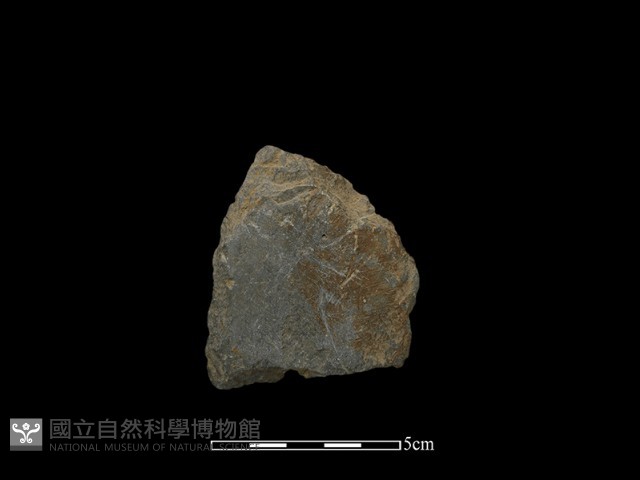 斧鋤形器藏品圖，第2張