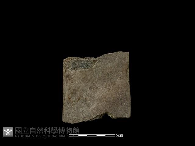 Accession Number:HWL-2014-063 Collection Image, Figure 1, Total 2 Figures