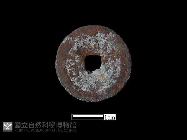 銅錢藏品圖，第2張