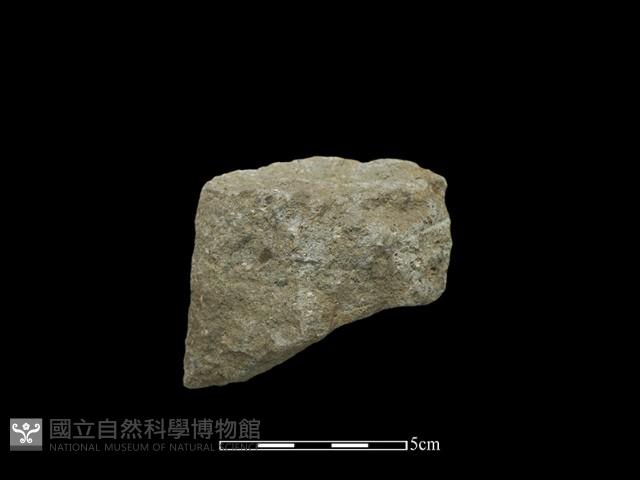 Accession Number:HKK-2014-043 Collection Image, Figure 1, Total 2 Figures